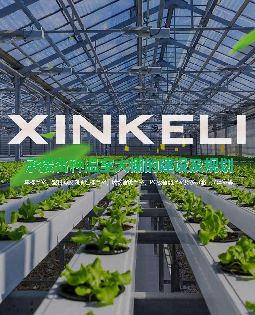 青州市舜華包裝有限公司